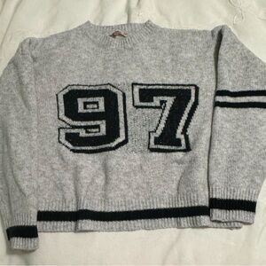 Francesca's Collections Gray Crew Neck Sweater